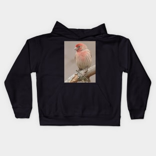 Beautiful House Finch in winter time Kids Hoodie